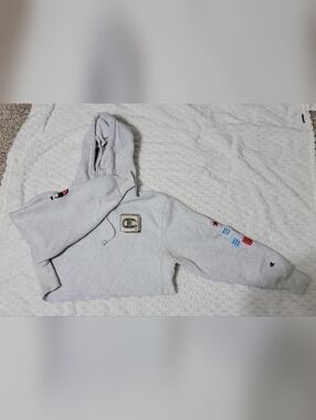 Champion Light Gray Cropped Hoodie Small